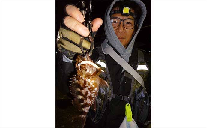 「パワーイソメが効いた！」四日市港ライトゲームで良型カサゴ連発【三重】