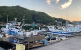 「的矢湾沖のタテ釣りでメジロ4匹にヒラメ登場【三重】初夏らしい好反応に満足！」の画像2