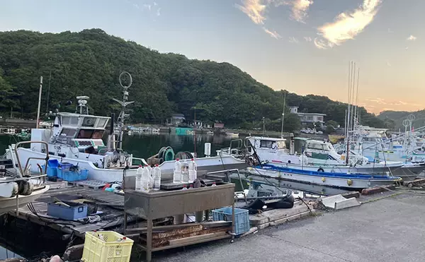 「的矢湾沖のタテ釣りでメジロ4匹にヒラメ登場【三重】初夏らしい好反応に満足！」の画像
