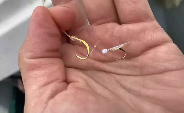 「的矢湾沖のタテ釣りでメジロ4匹にヒラメ登場【三重】初夏らしい好反応に満足！」の画像