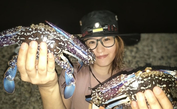 堤防からワタリガニを狙ってみた！【秋に好シーズン】 釣り方・持ち帰り方・絶品料理を紹介