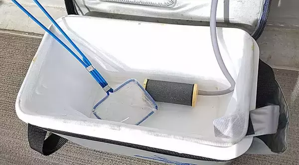 「メバル狙いのエビ撒き釣り入門　【釣れる時間帯・場所・ゲスト魚種を解説】」の画像