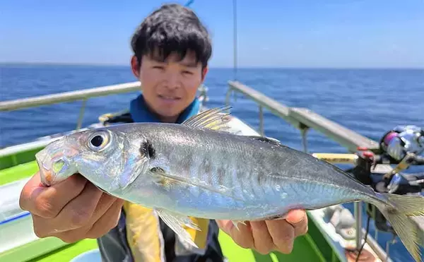 「葉山発アジ五目釣りで30cm超え良型アジ連打【愛正丸】城ヶ島沖で好反応」の画像