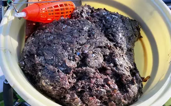 「葉山発アジ五目釣りで30cm超え良型アジ連打【愛正丸】城ヶ島沖で好反応」の画像