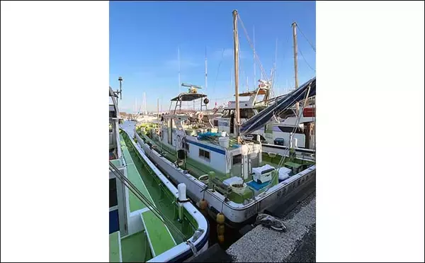 「葉山発アジ五目釣りで30cm超え良型アジ連打【愛正丸】城ヶ島沖で好反応」の画像