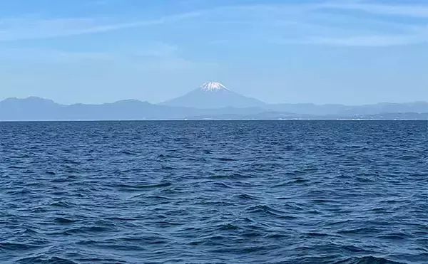 「葉山発アジ五目釣りで30cm超え良型アジ連打【愛正丸】城ヶ島沖で好反応」の画像