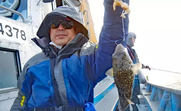 冬の伊勢湾カットウ釣りでコモンフグ4匹をキャッチ【愛知・石川丸】根掛かり対策が奏功