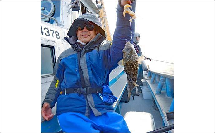 冬の伊勢湾カットウ釣りでコモンフグ4匹をキャッチ【愛知・石川丸】根掛かり対策が奏功