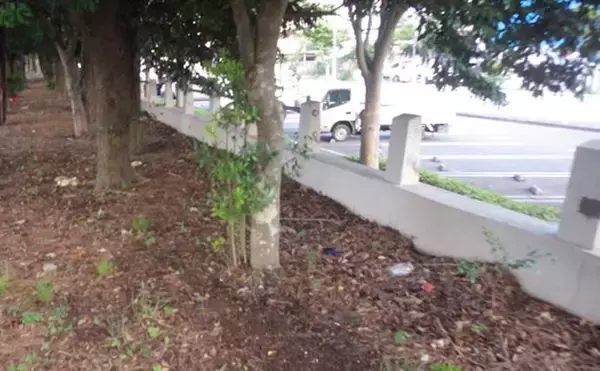 「旧江戸川河口のハゼ釣りで「探って誘って」マハゼ8匹を手中【千葉】速い流れに苦戦」の画像