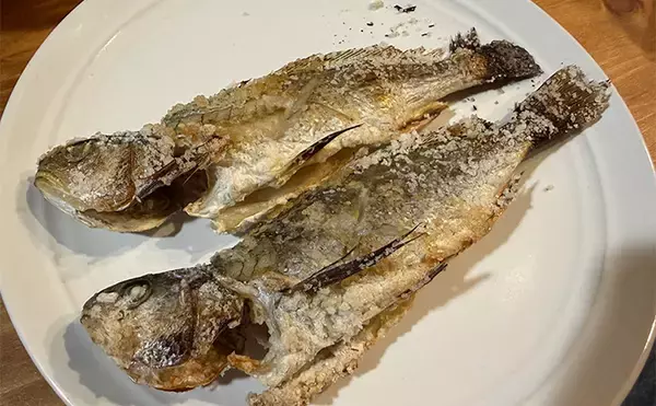 「深夜のぶっこみサビキ釣りで想定外のイシモチが連発！　本命のアジは不発」の画像