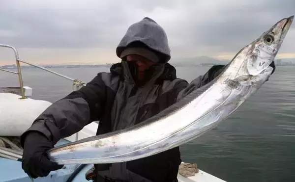 「【沖釣り釣果速報】ナイトティップランで2kg超え浮上　玄界灘はアオリイカ・ヒラメ・青物好調（福岡）」の画像