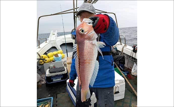 【沖釣り釣果速報】ナイトティップランで2kg超え浮上　玄界灘はアオリイカ・ヒラメ・青物好調（福岡）