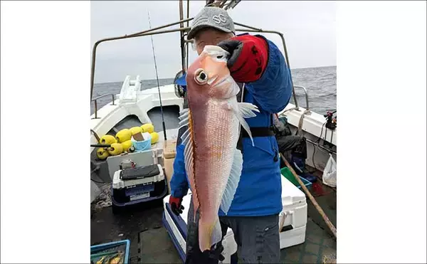 「【沖釣り釣果速報】ナイトティップランで2kg超え浮上　玄界灘はアオリイカ・ヒラメ・青物好調（福岡）」の画像
