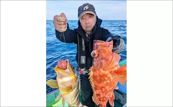 「【沖釣り釣果速報】ナイトティップランで2kg超え浮上　玄界灘はアオリイカ・ヒラメ・青物好調（福岡）」の画像
