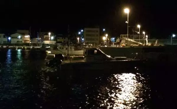 夜の常夜灯に集まる魚たち　「明」にはアジで「暗」にはメバル？