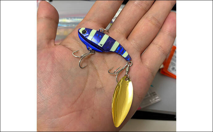 ライトショアジギング『LSJ』超入門　ブレードをメタルジグに付ける意味って何？