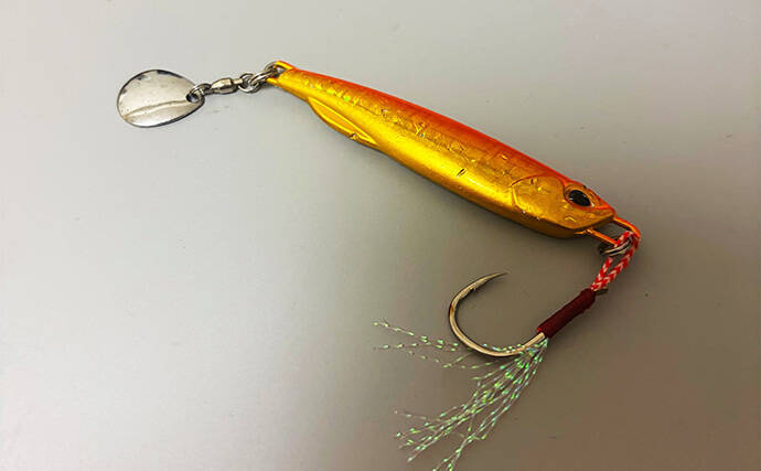 ライトショアジギング『LSJ』超入門　ブレードをメタルジグに付ける意味って何？