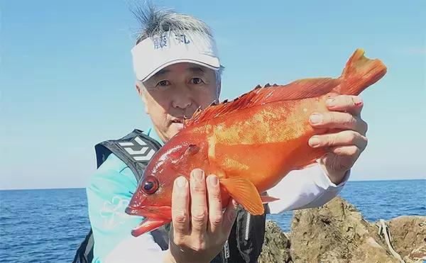 「エサ釣りで良型アカハタを狙い撃ち成功【鹿児島・甑島】白エビエサに好反応」の画像