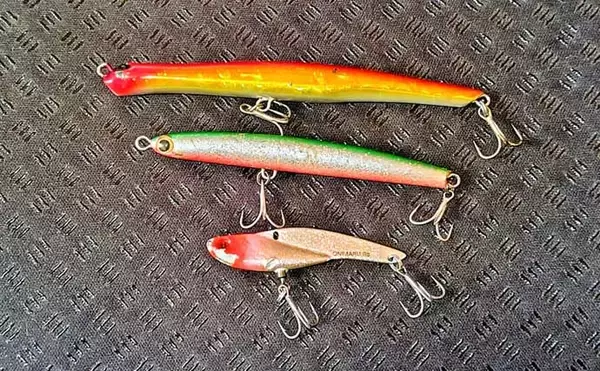 「強風下のルアーシーバス釣行で50cm級本命3匹キャッチ成功！【千葉・養老川】」の画像