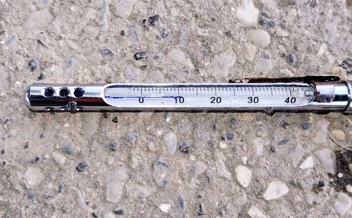 強風下のルアーシーバス釣行で50cm級本命3匹キャッチ成功！【千葉・養老川】