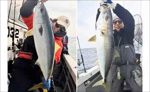 「関西エリアの【船釣り特選釣果】サビキマダイ本格化！60cm級大型交じりで数釣り達成」の画像