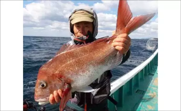「関西エリアの【船釣り特選釣果】サビキマダイ本格化！60cm級大型交じりで数釣り達成」の画像