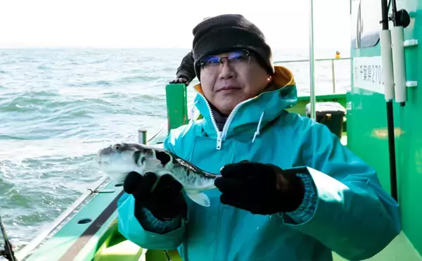 「「トラフグ専門船で本命連発！」カットウ釣り初挑戦者もヒットして船中12尾【東京湾・吉野屋】」の画像