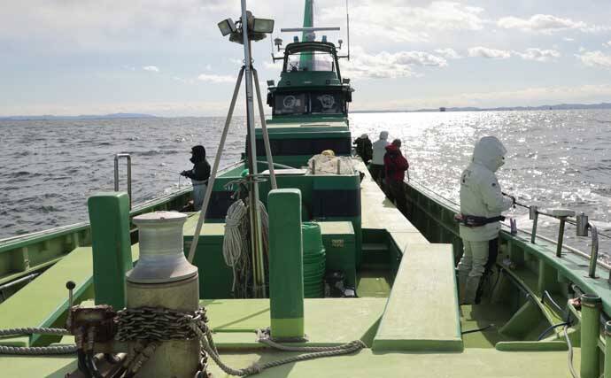 「トラフグ専門船で本命連発！」カットウ釣り初挑戦者もヒットして船中12尾【東京湾・吉野屋】