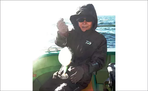 「「トラフグ専門船で本命連発！」カットウ釣り初挑戦者もヒットして船中12尾【東京湾・吉野屋】」の画像