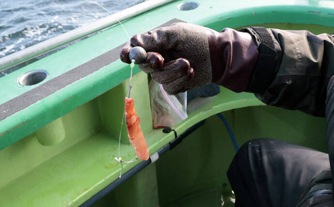 「トラフグ専門船で本命連発！」カットウ釣り初挑戦者もヒットして船中12尾【東京湾・吉野屋】