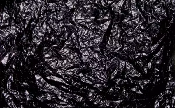 「ホルムズ海峡封鎖で日本の漁業が大ピンチ？ 「稚魚」が輸入できず養殖に影響も」の画像