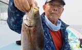 「シーズン最中の大山沖イサキ釣りで40cm頭に本命8匹キャッチ【武丸・愛知】」の画像1