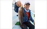 「シーズン最中の大山沖イサキ釣りで40cm頭に本命8匹キャッチ【武丸・愛知】」の画像2