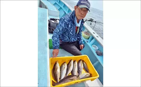 「シーズン最中の大山沖イサキ釣りで40cm頭に本命8匹キャッチ【武丸・愛知】」の画像
