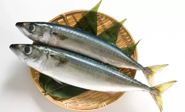 「輸入ものすら価格高騰へ」 いよいよ大衆魚でなくなる『サバ』の話