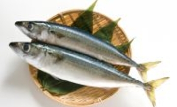 「輸入ものすら価格高騰へ」 いよいよ大衆魚でなくなる『サバ』の話