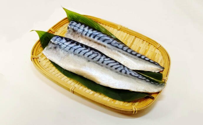 「輸入ものすら価格高騰へ」 いよいよ大衆魚でなくなる『サバ』の話