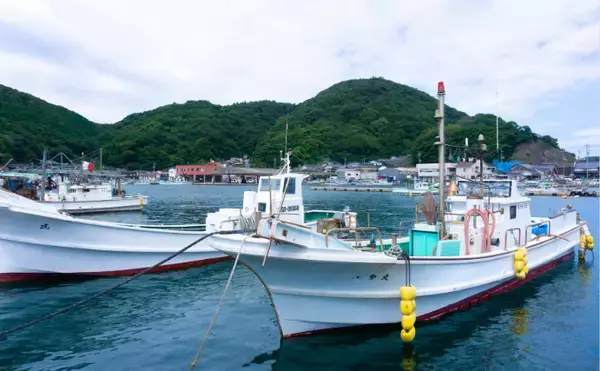 「「輸入ものすら価格高騰へ」 いよいよ大衆魚でなくなる『サバ』の話」の画像