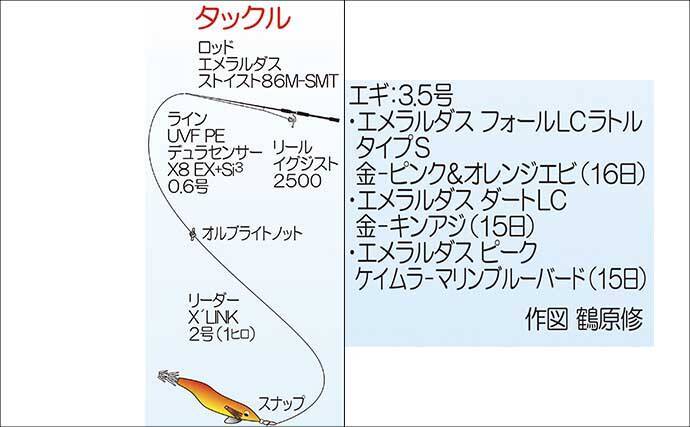 地磯エギングで1.5kgアオリイカをキャッチ【福岡】藻地帯を丁寧に探ってヒット