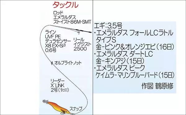 「地磯エギングで1.5kgアオリイカをキャッチ【福岡】藻地帯を丁寧に探ってヒット」の画像