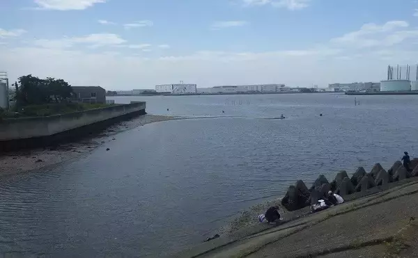 「東京湾奥の潮干狩りで大型ホンビノス貝がザックザク　終盤戦も絶好調」の画像