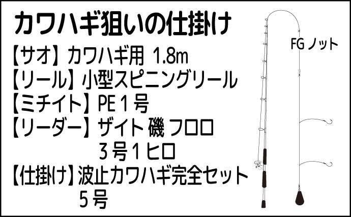 堤防カワハギ釣りで20cm級本命6尾【熊本・上天草】アオ虫エサにヒット