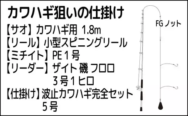 「堤防カワハギ釣りで20cm級本命6尾【熊本・上天草】アオ虫エサにヒット」の画像