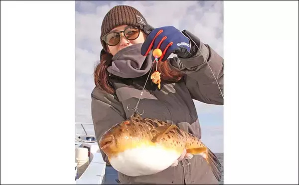 「外房のカットウ釣りでアカメフグを狙う【千葉・春日丸】根掛かり回避で良型連発」の画像