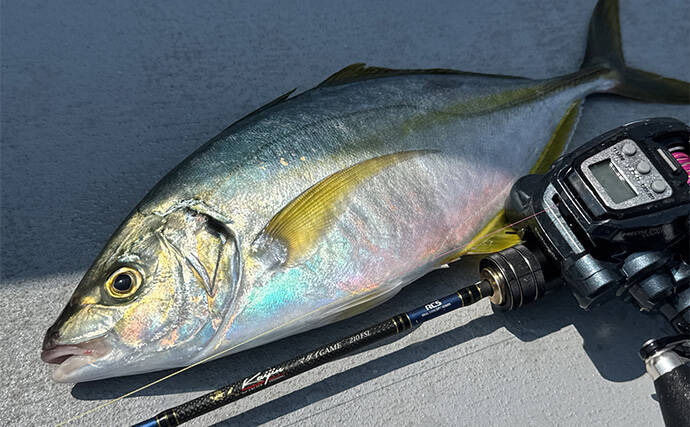 船シマアジ釣りにおけるリールの選び方　利き手で巻く手巻きリールがオススメなワケとは？