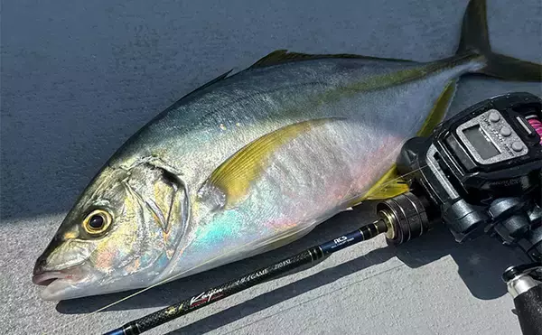 「船シマアジ釣りにおけるリールの選び方　利き手で巻く手巻きリールがオススメなワケとは？」の画像