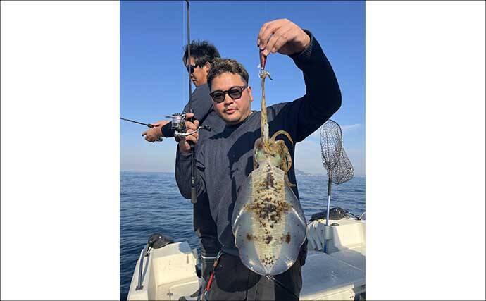 「冬の伊勢湾が熱い！」青物・マダイ・アオリイカの本命3種コンプリート達成