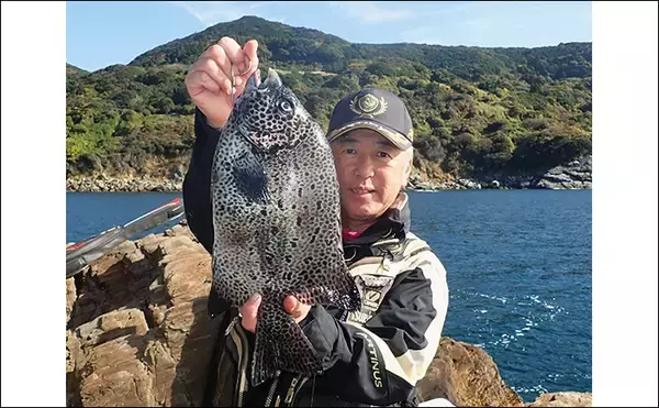 「シーズン終盤の「イシ物釣り」で2kgクラス良型イシガキダイが登場！【天草】」の画像