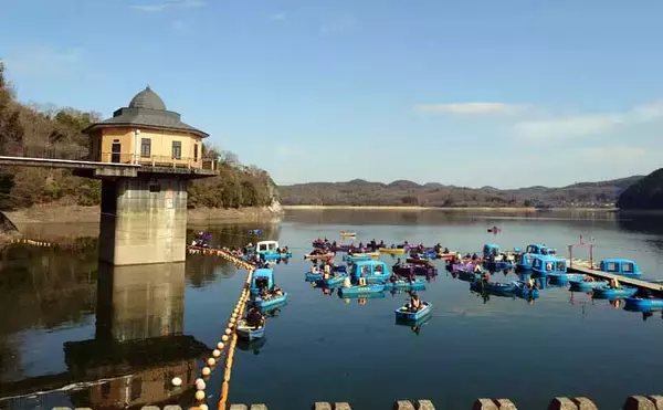 「今季絶好調の入鹿池ボートワカサギ釣りで1000匹突破！【愛知】取水塔前が入れ食い」の画像