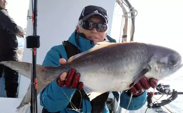 【沖釣り釣果速報】テンビン五目で7kgメダイ浮上！イサキ・アカイサキ交じり多彩釣果（福岡）